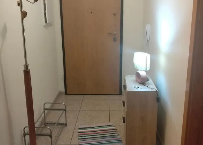 Four Large Apartament Bragança